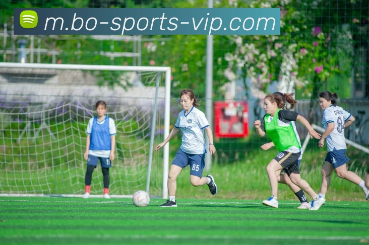 火博体育品牌故事